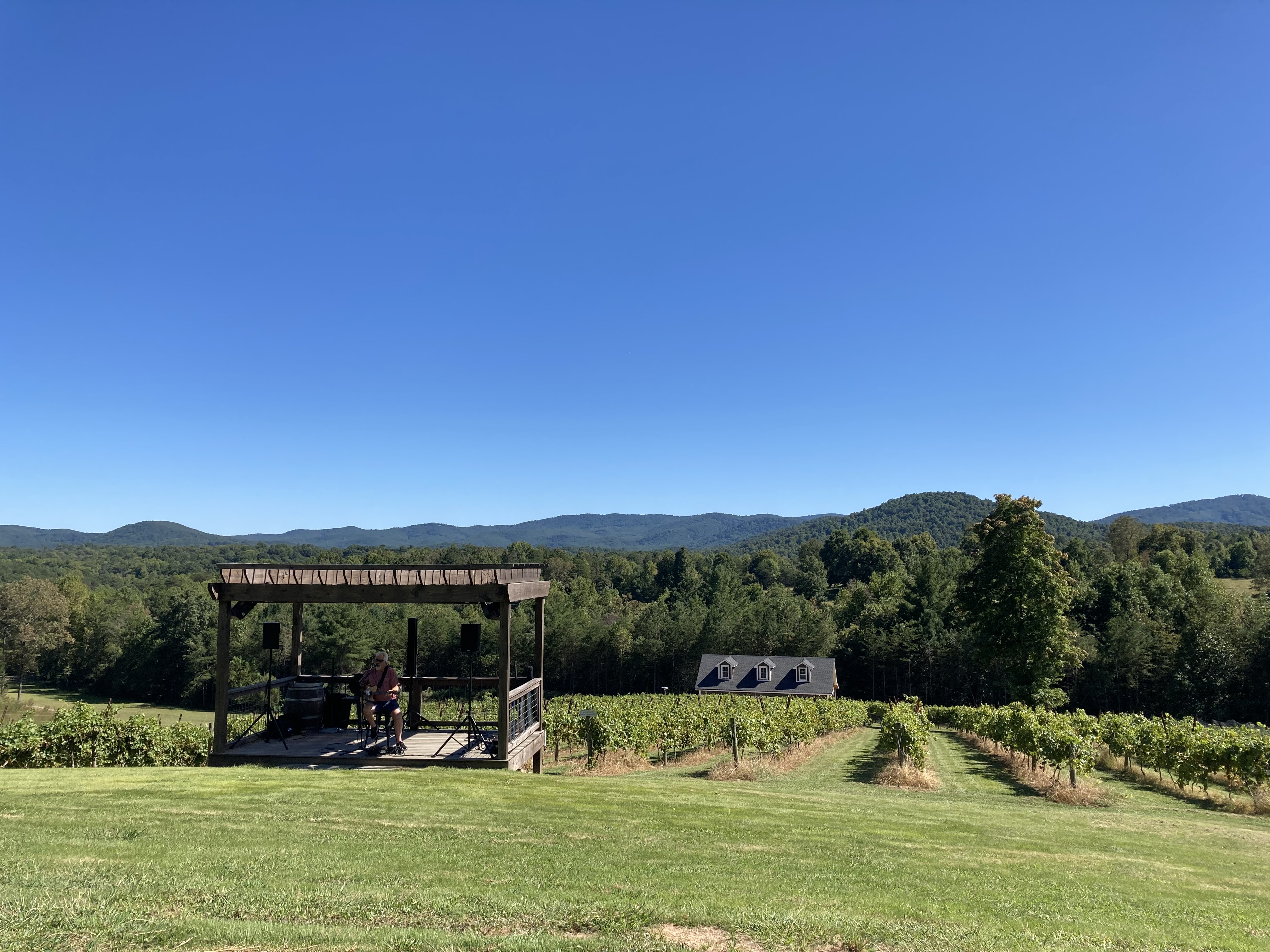 Live music during Ellijay harvest season
